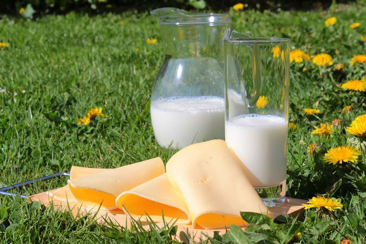 latte e formaggi