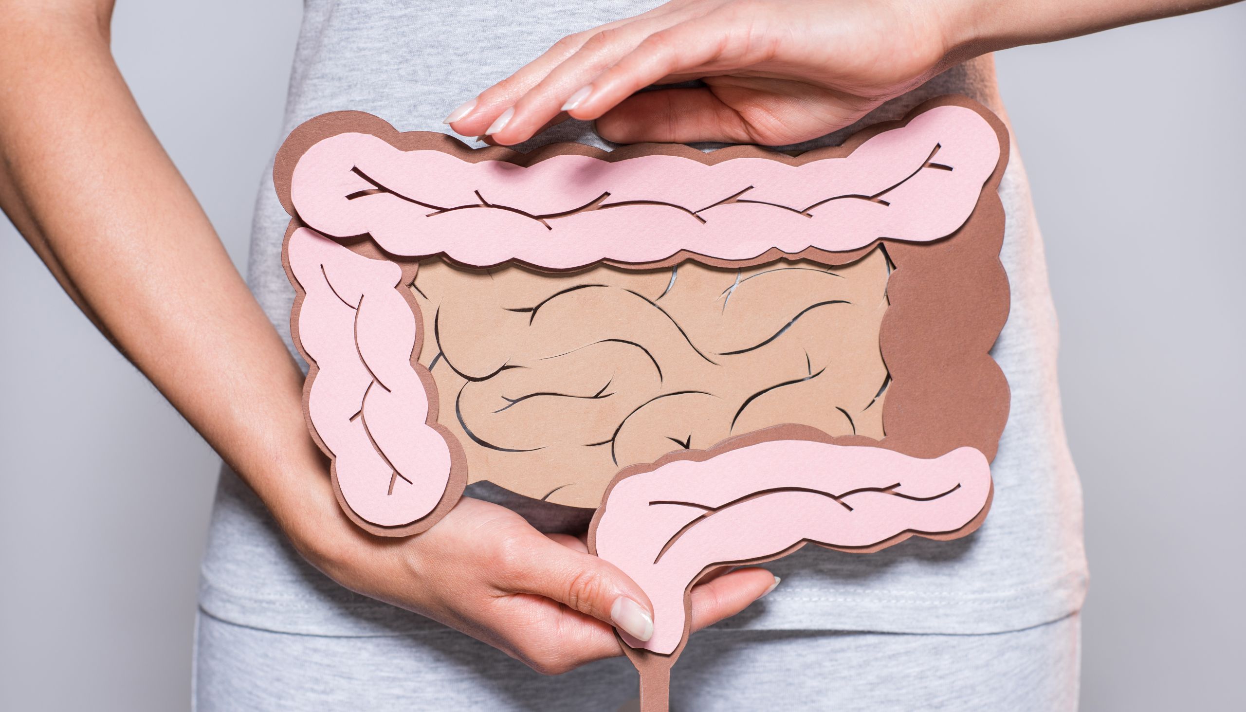 microbiota intestinale unisalus