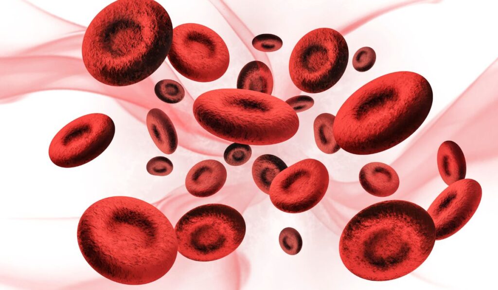 Talassemia unisalus