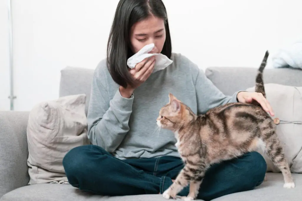 Come si manifesta l’allergia agli animali domestici?