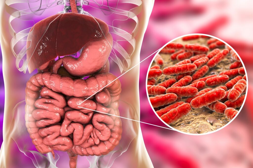 disbiosi intestinale sintomi extraintestinali